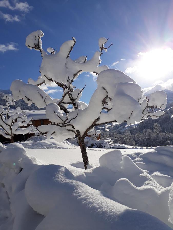 Haus Gmahblick Ferienwonungen Hotel Alpbach Luaran gambar