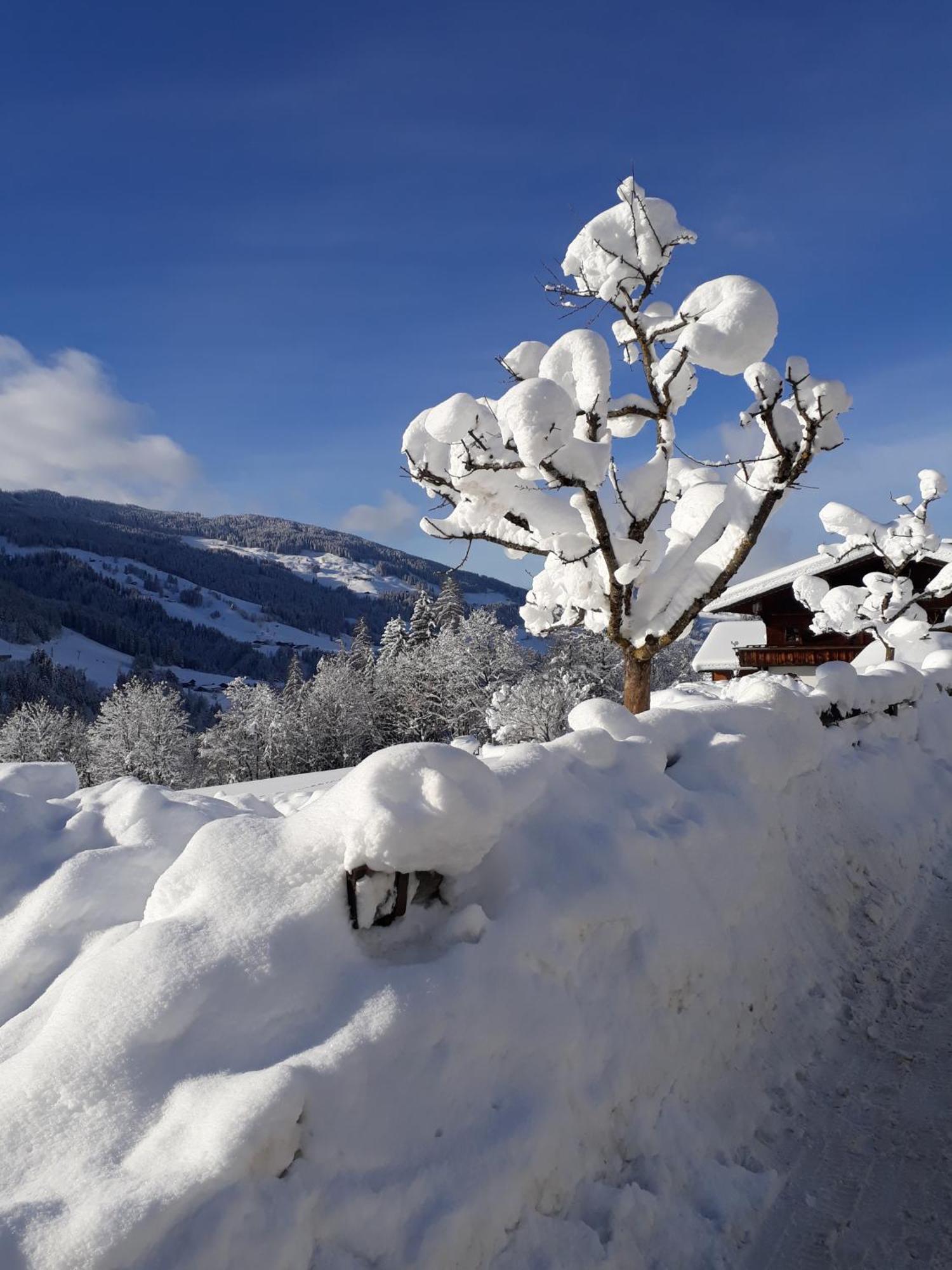 Haus Gmahblick Ferienwonungen Hotel Alpbach Luaran gambar